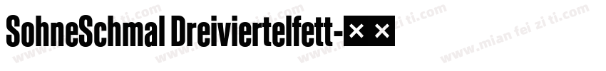 SohneSchmal Dreiviertelfett字体转换